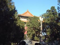 DSCF0126.JPG